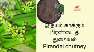 Pirandai chutney(veld grape)/பிரண்டைத் துவையல்/entertain everyone