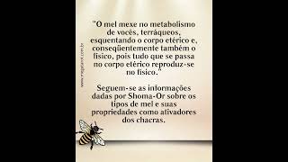 Você sabia que o Mel é um ativador energético ?
