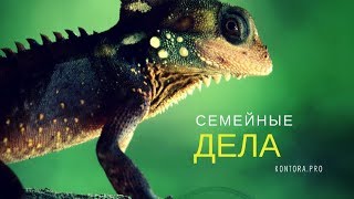 Услуги юриста по семейным делам