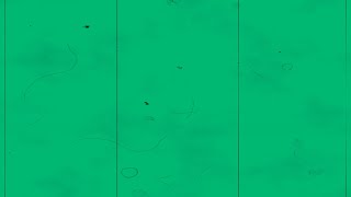 FILM DIRTY GLITCH effect Green screen animation Motion Background Free Stock Footage