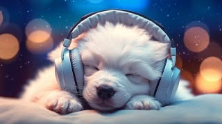 Dog Music: 24 HOURS | Deep Sleep Relaxation Melodies to CALM YOUR DOG #10