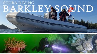 Scuba Diving Barkley Sound (4K) | Ucluelet, BC Canada