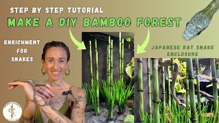 Snake Enclosure Enrichment DIY: How to Make A Bamboo Forest!