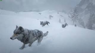 Roaming with a wolf pack in the snowy mountains. RDR2 story mode with mods