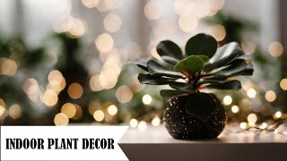 Indoor Plant Decor Ideas | Decorating With Plants | Indoor Plant Decoration Ideas