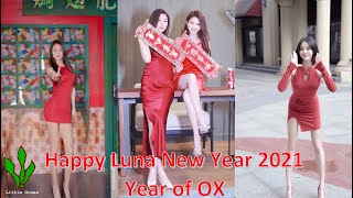 Hot Tik Tok Dance Douyin Chinese New Year(2021) Special Collection