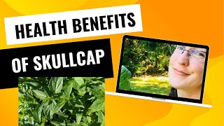 Surprising Health Benefits of Skullcap