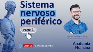 SISTEMA NERVOSO PERIFÉRICO - PARTE 1  - NEUROANATOMIA