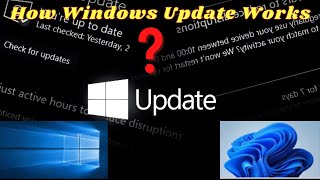 How windows update works in windows 11