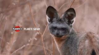 Les nouveautés de novembre sur PLANÈTEPLUS CANADA