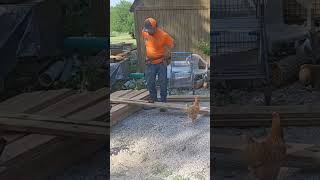 trying to build a chicken coop then this happens.... #diy #chickencoop #chickens #goviral #godfirst