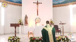 Santa Misa Jueves 25  de Noviembre del Tiempo OrdinarioDel santo Evangelio según san Lucas 21, 20-28