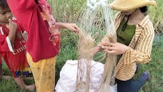 Fishing Net In My Village get many fish 🐠👏/Fishing Videos - PU MENG Fishing