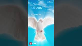 Kekuatan dan Bimbingan Melalui Roh Kudus | Matius 28:19 #ytshorts #bible #motivation