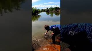 Mancing barramundi di empang part 2 #mancing #barramundi