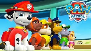 Paw Patrol Mission Paw - PAW Patrol Rescue Run Team Chase, Rubble,Zuma - Nickelodeon Kids Games