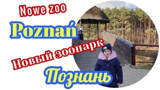 ЗООПАРК В ПОЗНАНИ. ЛОКДАУН 2020. NOWE ZOO W POZNANIU ЗООПАРКИ ПОЛЬШИ #FamilyMinka