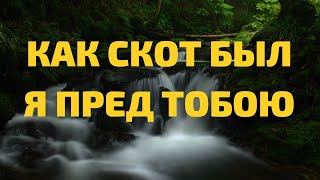 Как скот был я пред Тобою