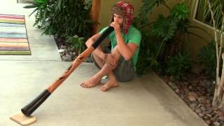 "Sand Tracker" Eucalyptus Didgeridoo by Vicky Harding