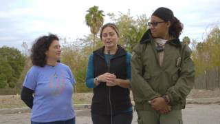 Barn Owl Release Team Interview