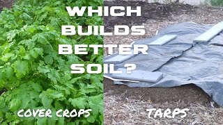 COVER CROPS vs TARPS - The BETTER Soil Builder Is...