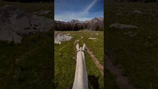 Heading into the high country🏔️🐴 #mule #horse #rdr2 #rider #mountains #horseback