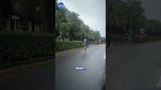 Escaped ostrich runs through the streets of China 🤣