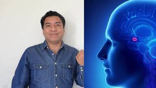 Neurociencia - La musica manipula tus emociones: alegría, tristeza... ¡miedo!