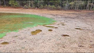 Possible harmful algal blooms reported at Lake Lanier | What to do if you see one