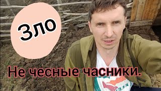 Часники свое мясо не едят, зато травят других? Так ли это?#мясо #деревенскаяжизнь #почемубыневдеревн