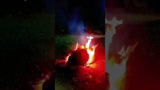 Holika dahan| happy holi| #festival #holi #holikadahan #viral #ytshorts #shorts