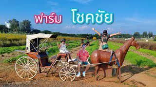 แวะฟาร์มโชคชัย