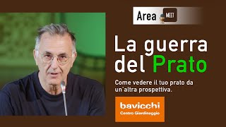 Il prato nel giardino