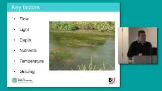 Aquatic plants in chalk streams - Dr Kevin Wood