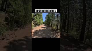 NorCal BDR | Section 3 #adventurebike #motorcycle #norden901 #bdr