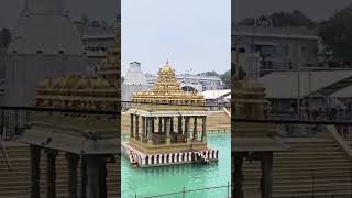 తిరుపతి #gonvinda #viral #షార్ట్స్ #god #temple