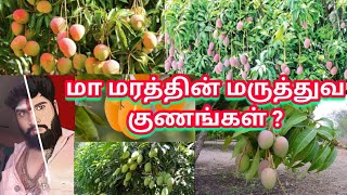 மா மரத்தின் மருத்துவ குணங்கள் ? ஓம் நமசிவாய போற்றி போற்றி ஓம் வளை அம்மா போற்றி போற்றி ஓம் நமசிவாய