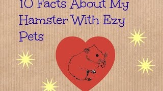 10 Facts About My Hamster With Ezy Pets