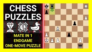 Chess Puzzles to Practice. Themes: Mate in 1, Endgame, One-move puzzle. Learn Chess