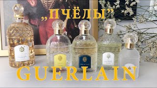 Кто здесь ФЕЙК? Подделки флаконов GUERLAIN с пчёлами? | Перевыпуск Bee Bottles GUERLAIN