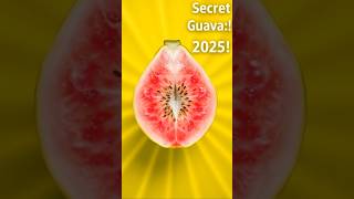 Discover GUAVA – The Secret Superfruit of 2025! #shorts #facts