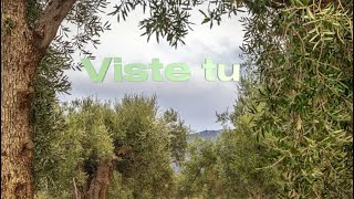 Viste tu