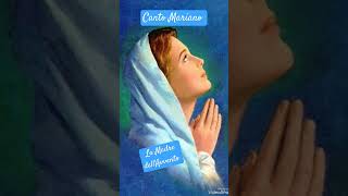 Canto Mariano: La Madre dell'Avvento. #maria #massicumar #coro #avvento