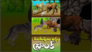 జంతువులు అద్దం ప్రాంక్ | Animal Mirror prank stories Telugu | Animals Mirrors Hilarious Reactions_08