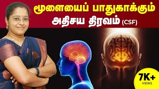 மூளையை பாதுகாக்கும் அதிசய திரவம் CSF | Intracranial Hypertension | Brain Health | Dr A.Veni | Trichy