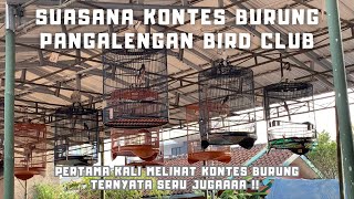 Burung Murai Berkumpul Disini !! Kontes Dimulai ‼️