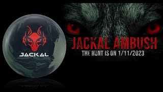 Motiv Jackal Ambush Review  - 4k