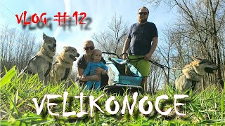 Velikonoční týden, výlet a první klíště | VLOG #12