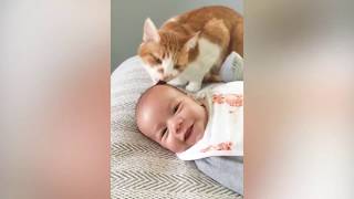 СМЕШНЫЕ КОТЫ И СМЕШНЫЕ ДЕТИ 2/FUNNY KIDS AND FUNNY CATS 2