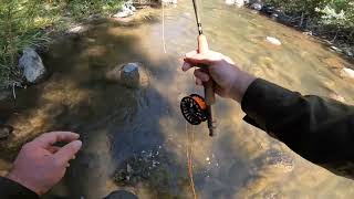 Colorado small creek fly fishing